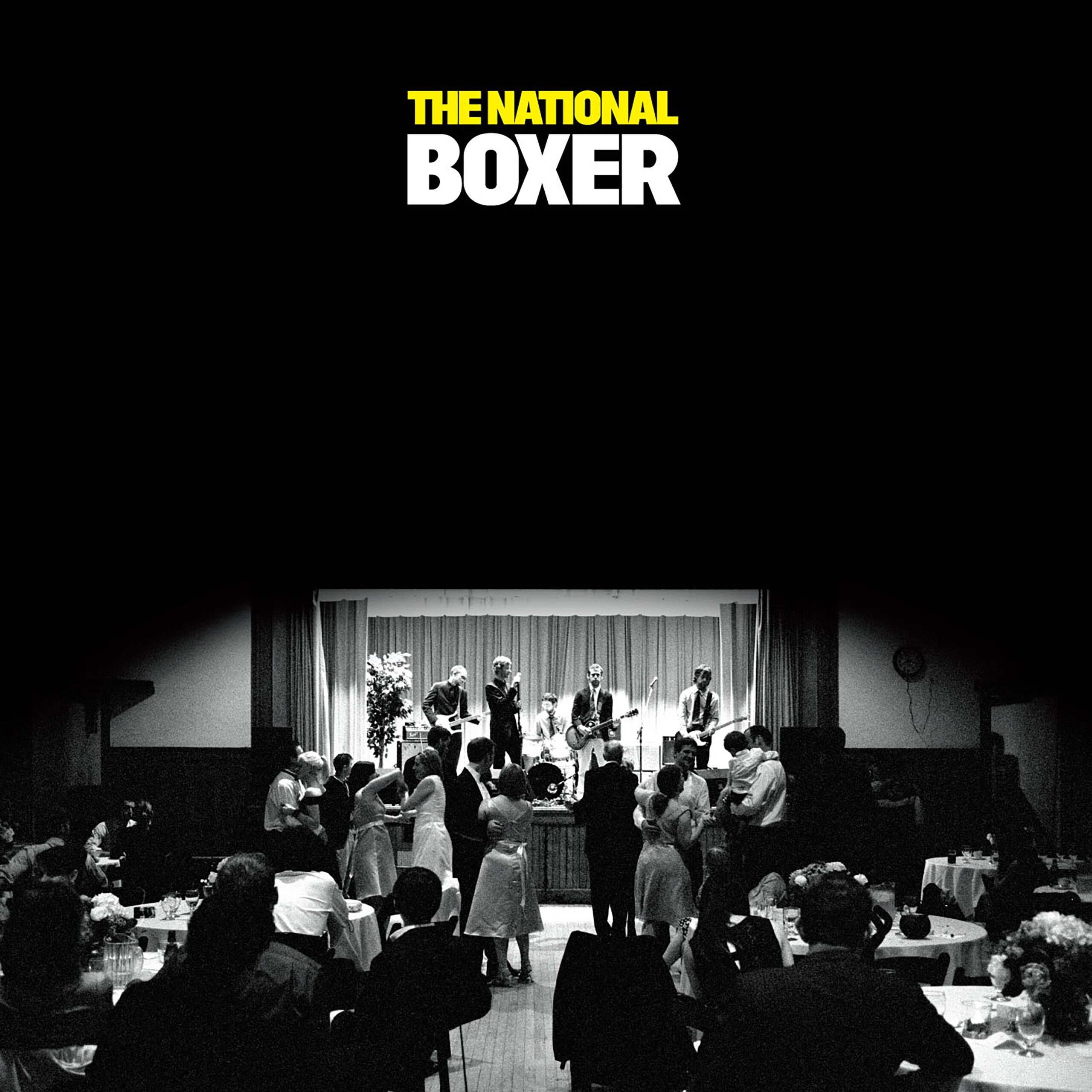 Boxer_a72e734f_thumbnail_4096