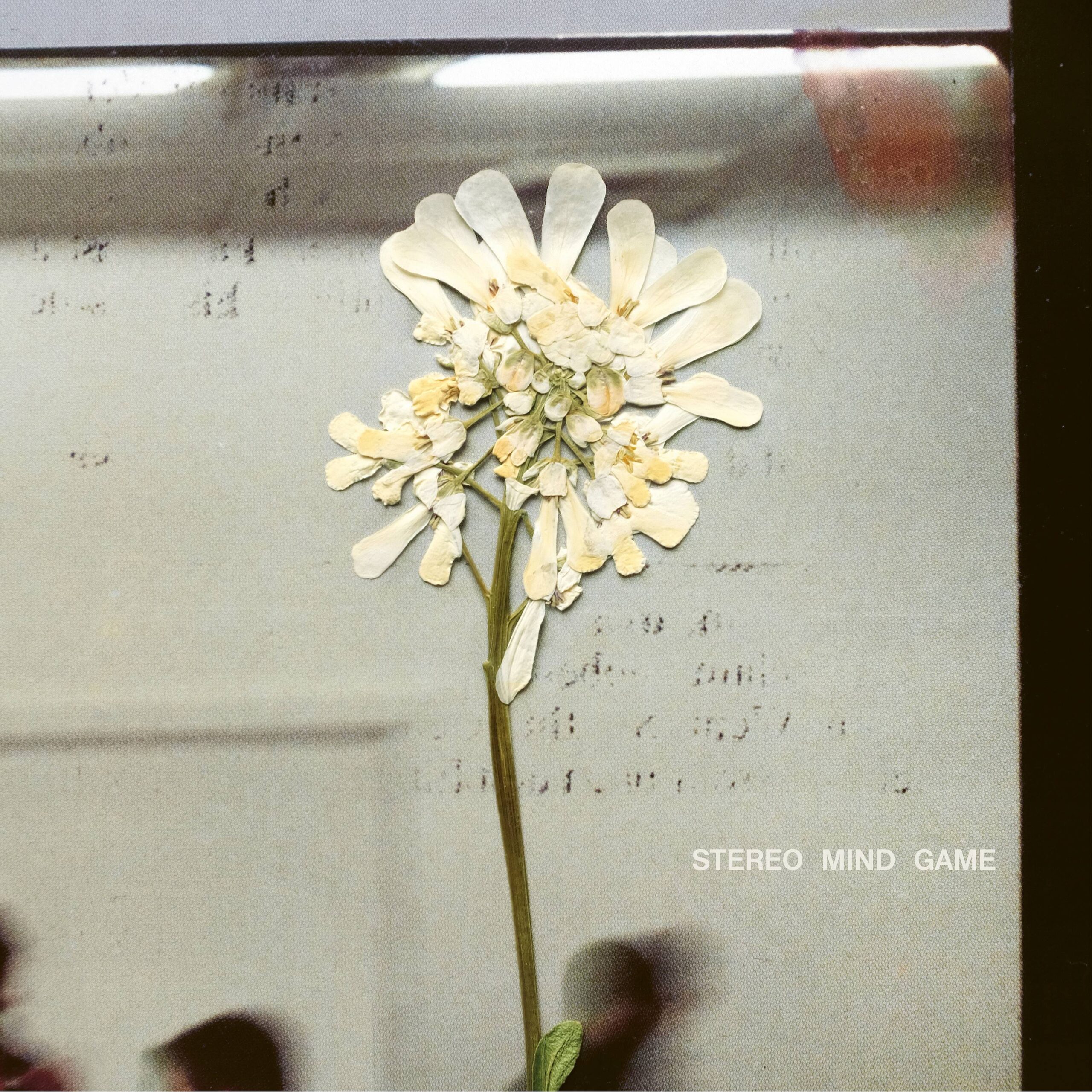 Daughter-Stereo-Mind-Game-Digital-1_f30de426_thumbnail_4096