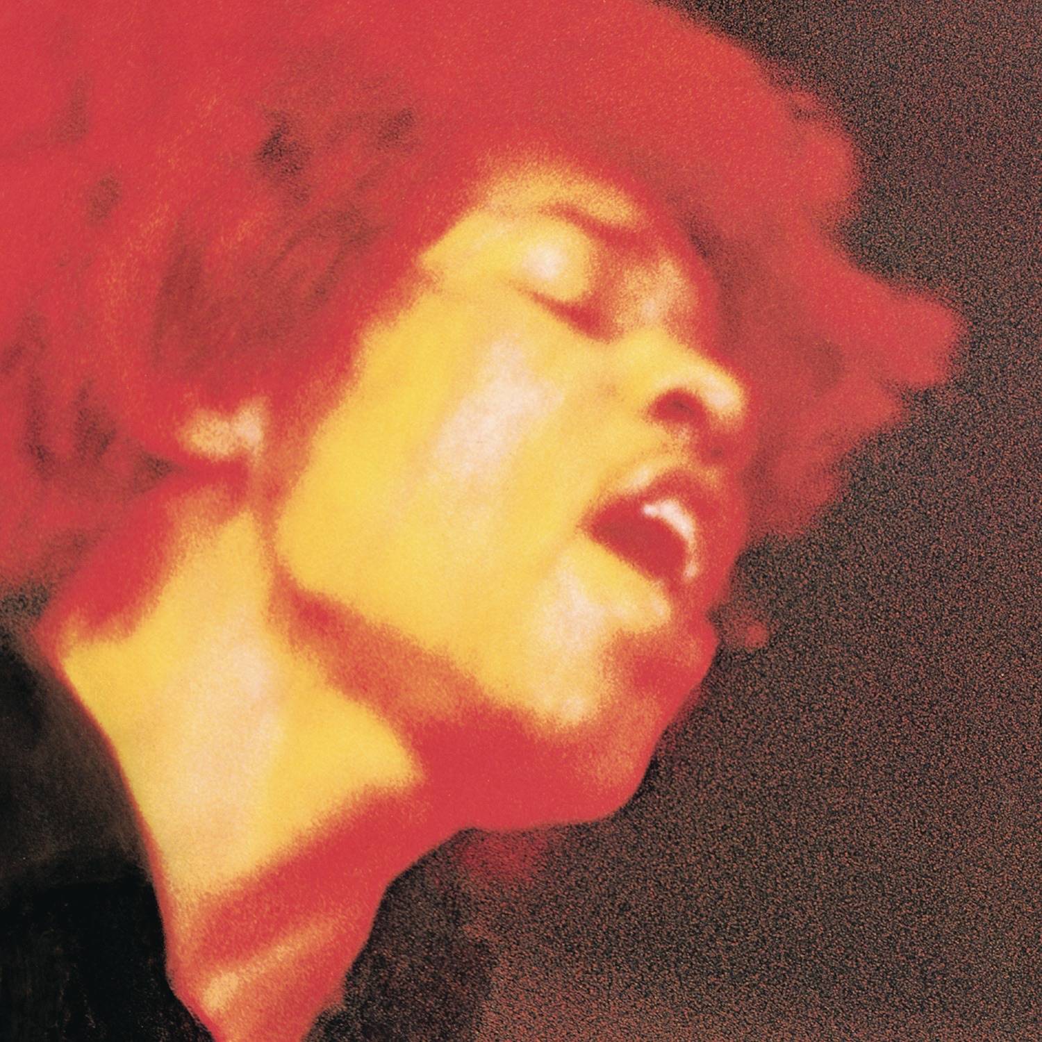 Electric_Ladyland_404a6656_thumbnail_4096