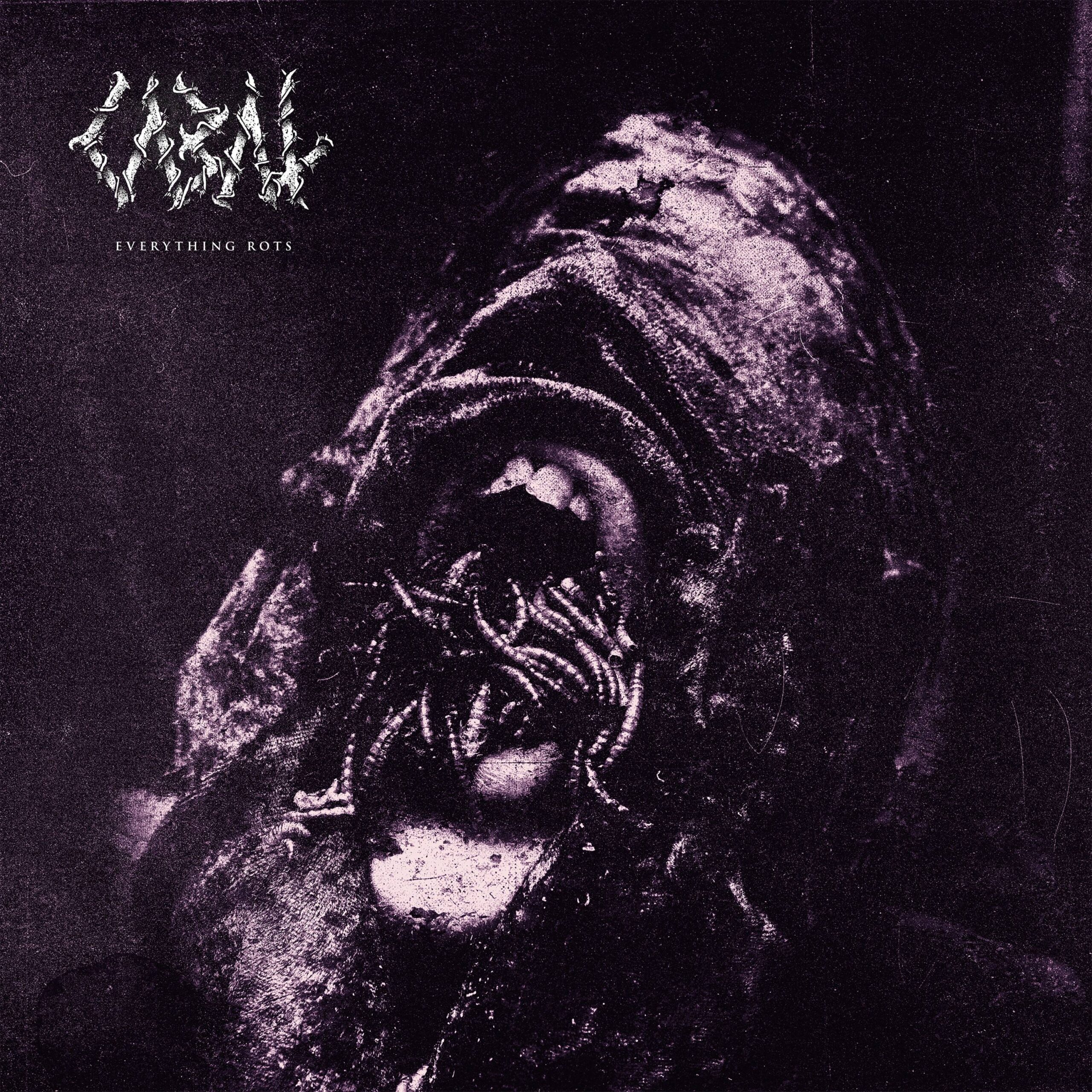 Everything_Rots_17108783_thumbnail_4096