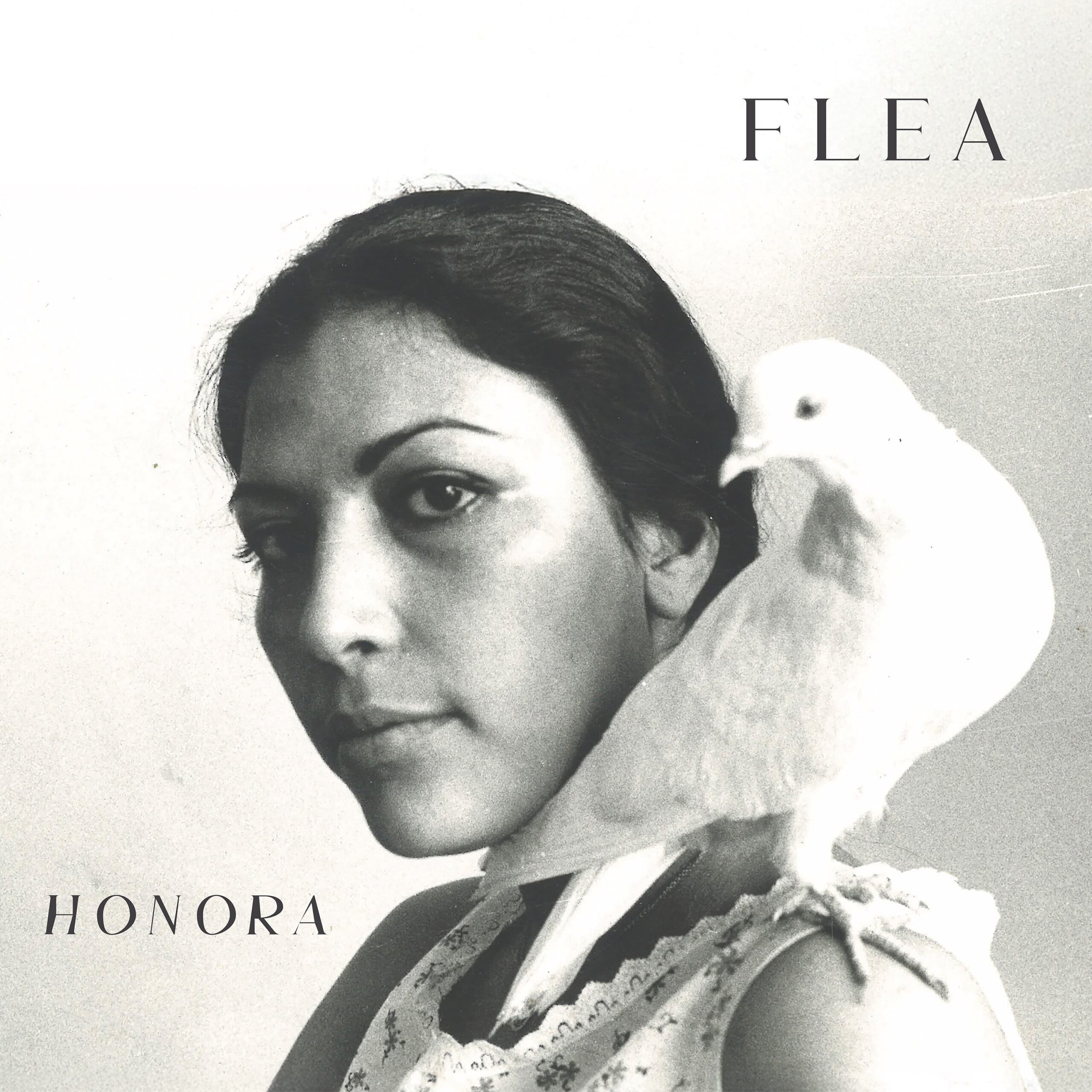 FLEA_Honora