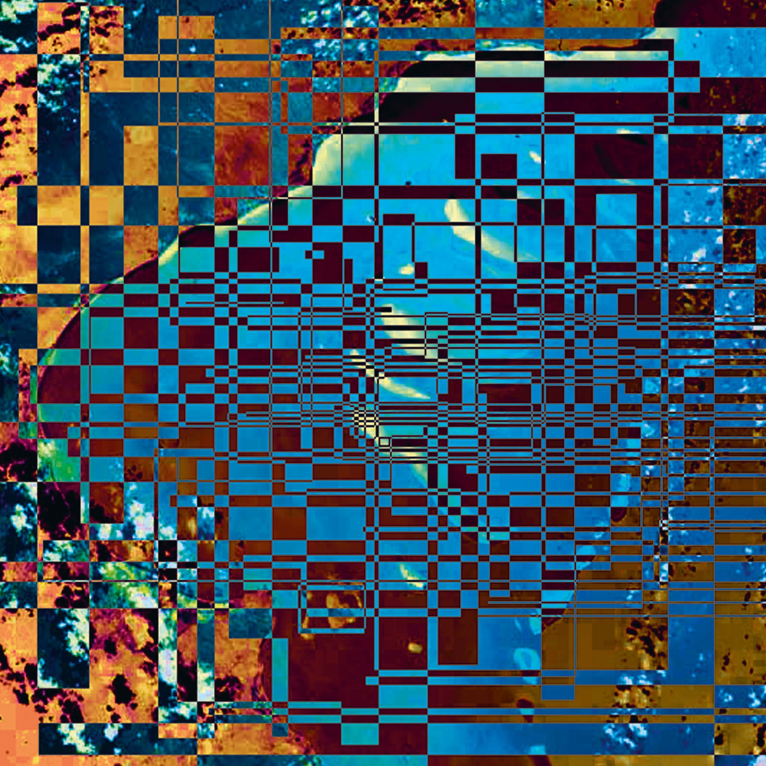 Field_2039
