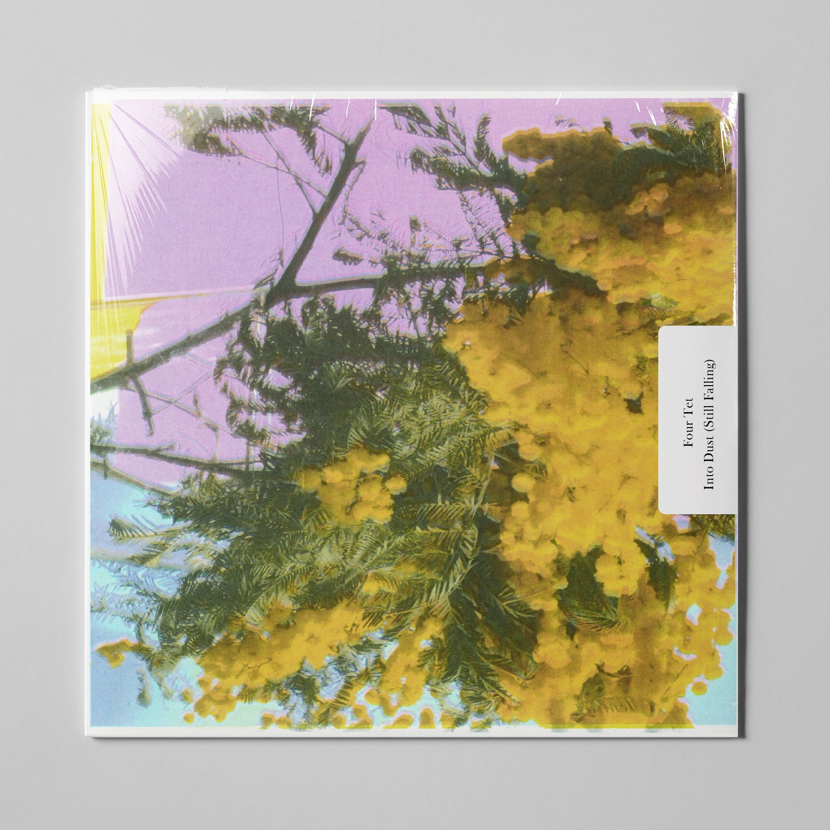 FourTet-IntoDust_8364