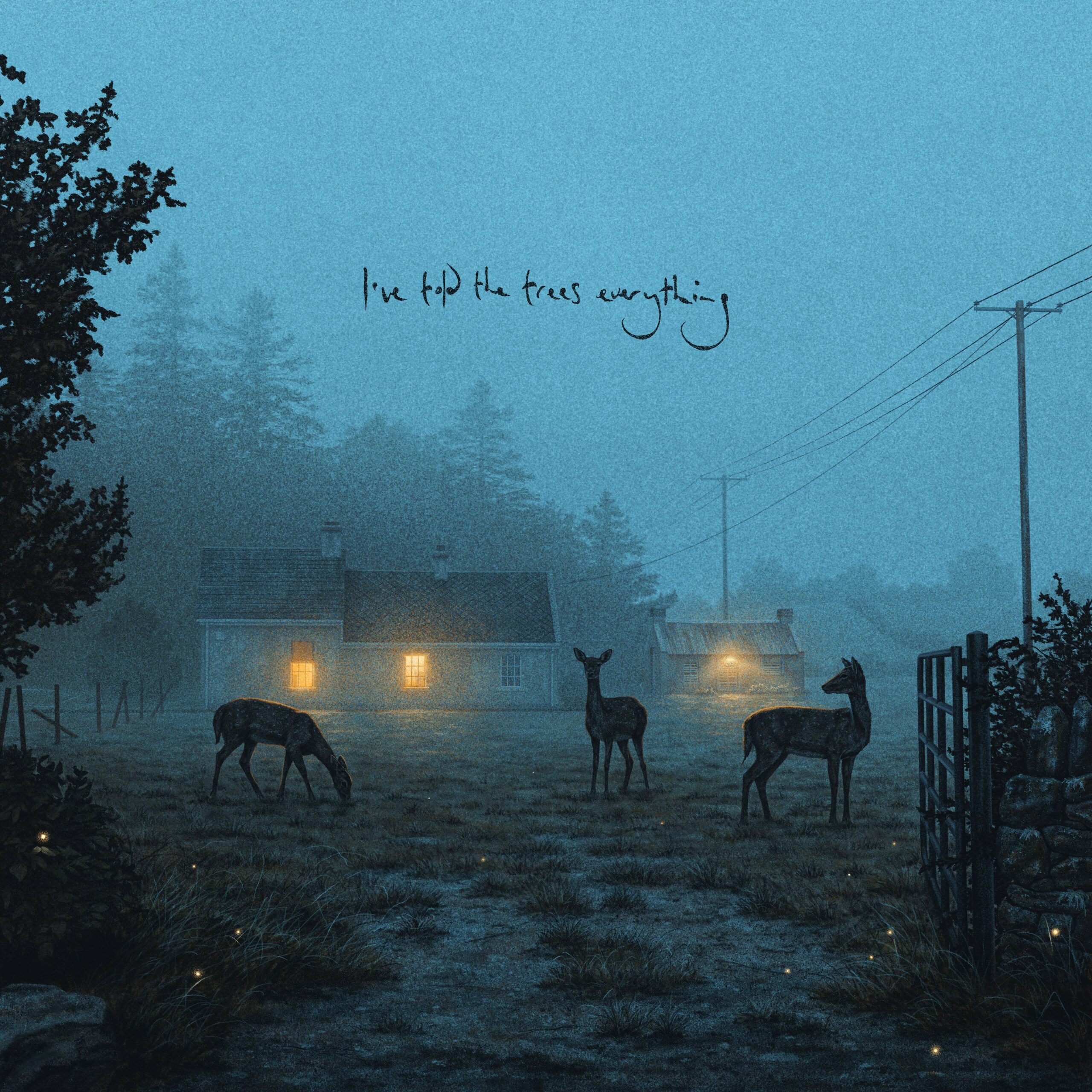 Ive_told_the_trees_everything_-_EP_a094a7bb_thumbnail_4096
