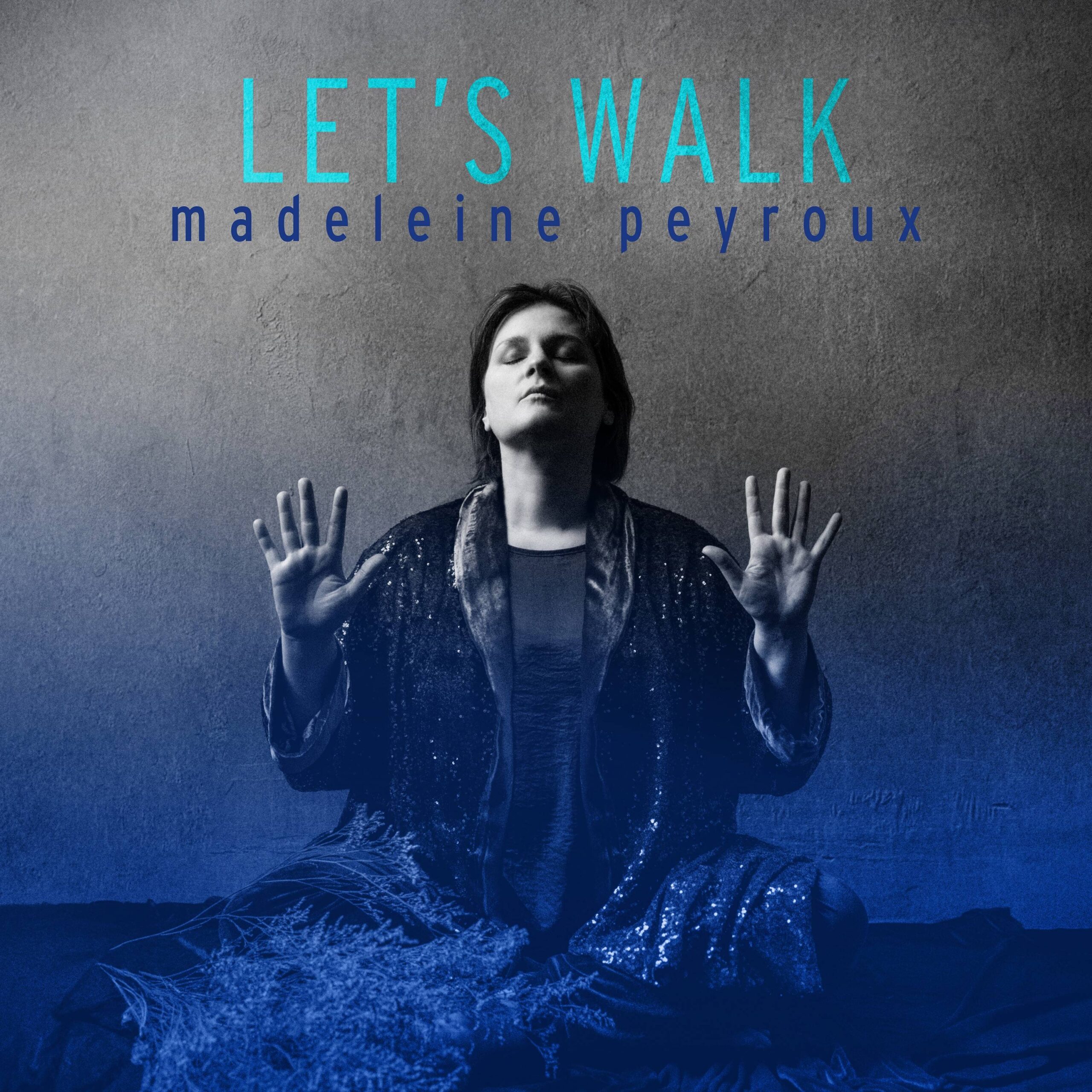 Lets_Walk_1f2151b1_thumbnail_4096