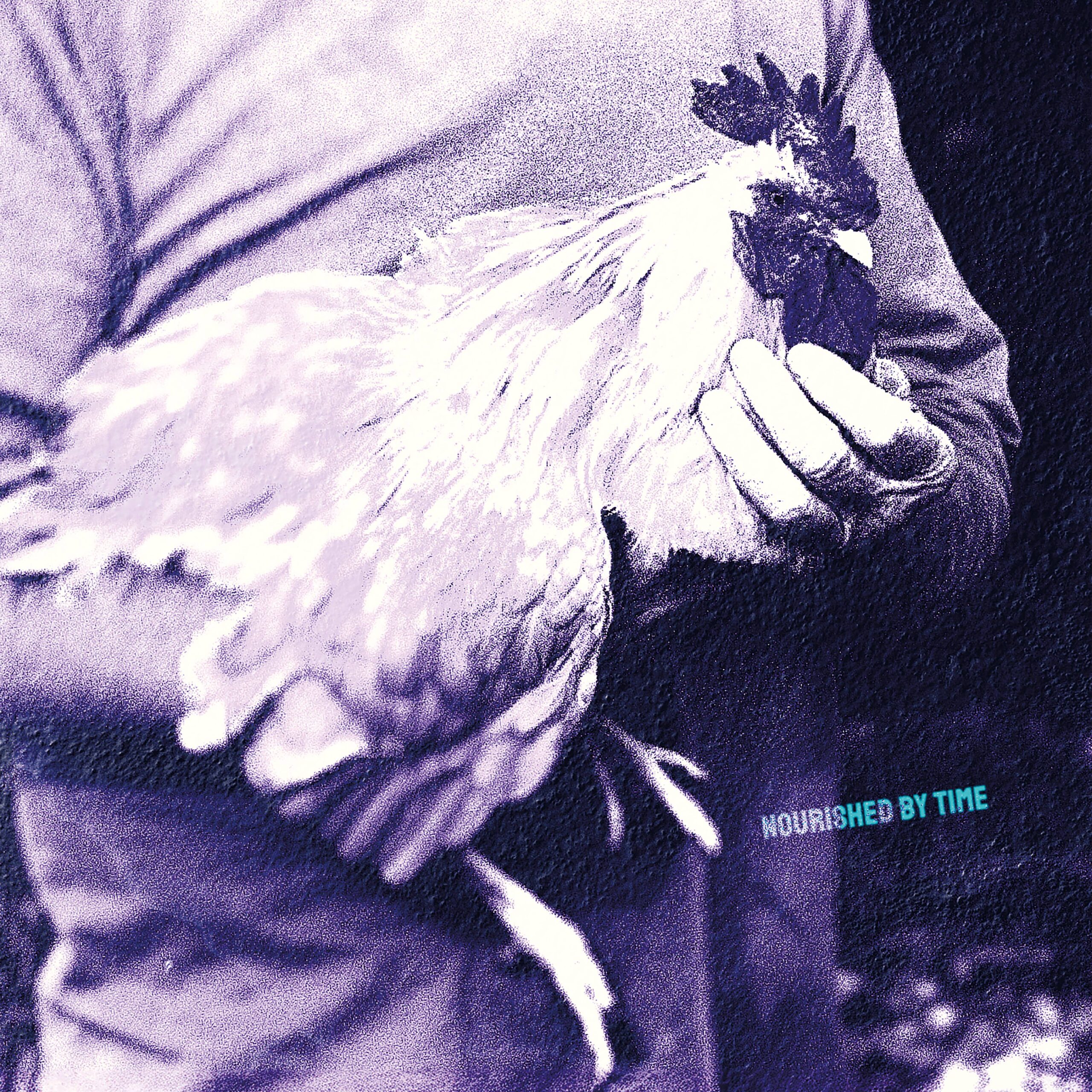 Nourished_by_Time_Catching_Chickens_4000x4000_f0bb4fd3_thumbnail_4096