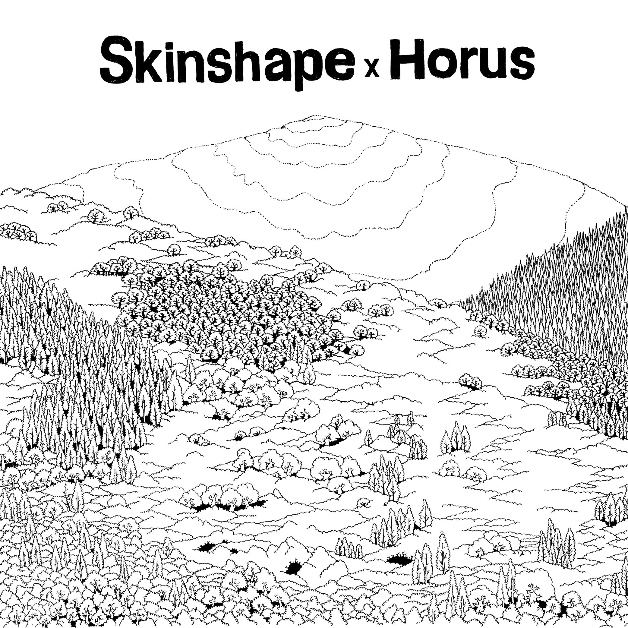 SkinshapeXHorus-SkinshapeXHorus