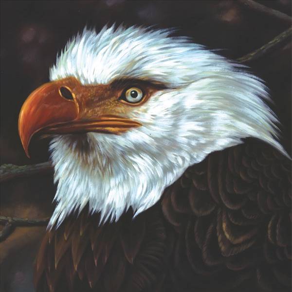 The_Hawk_Is_Howling_8339926d_thumbnail_4096
