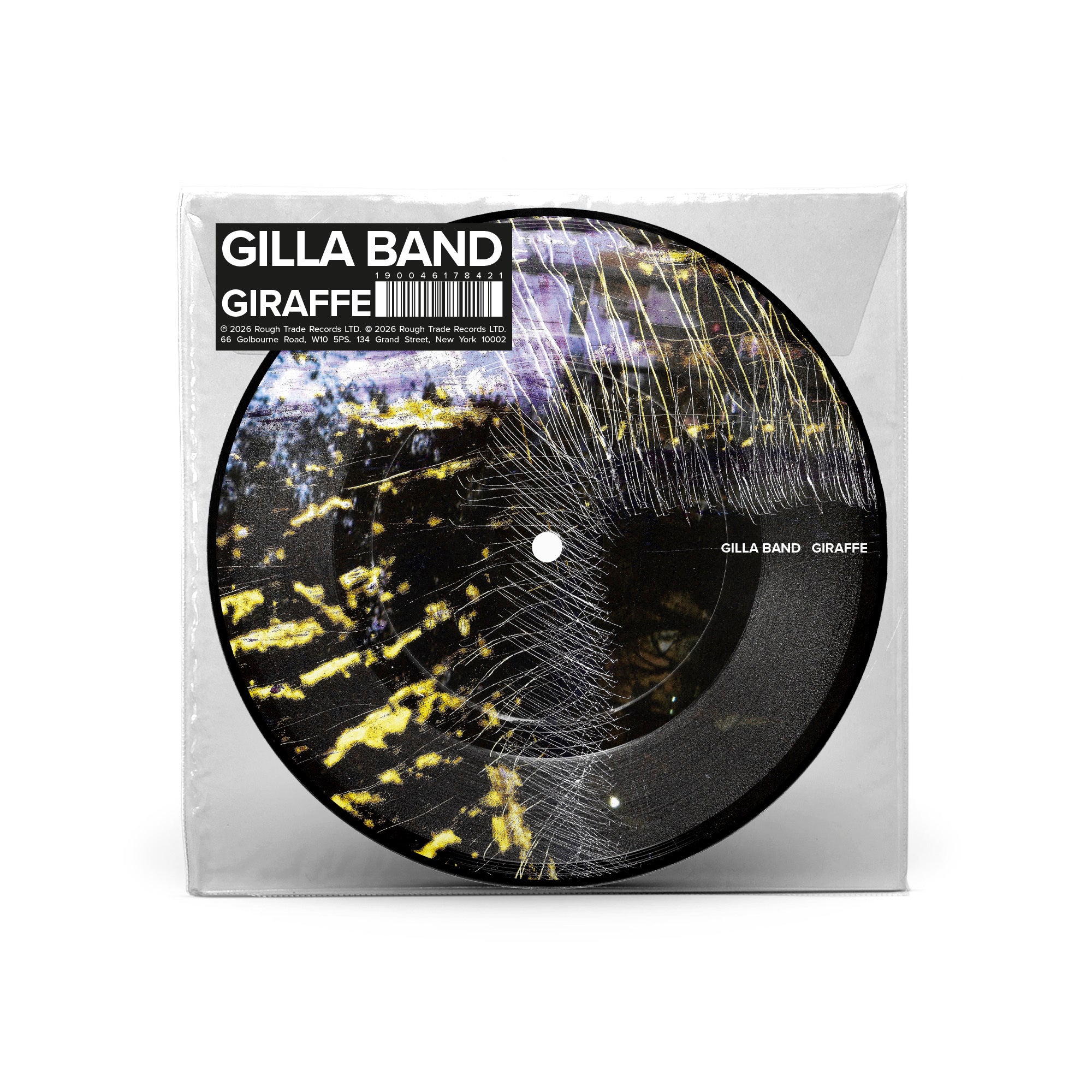 gillaband-giraffe