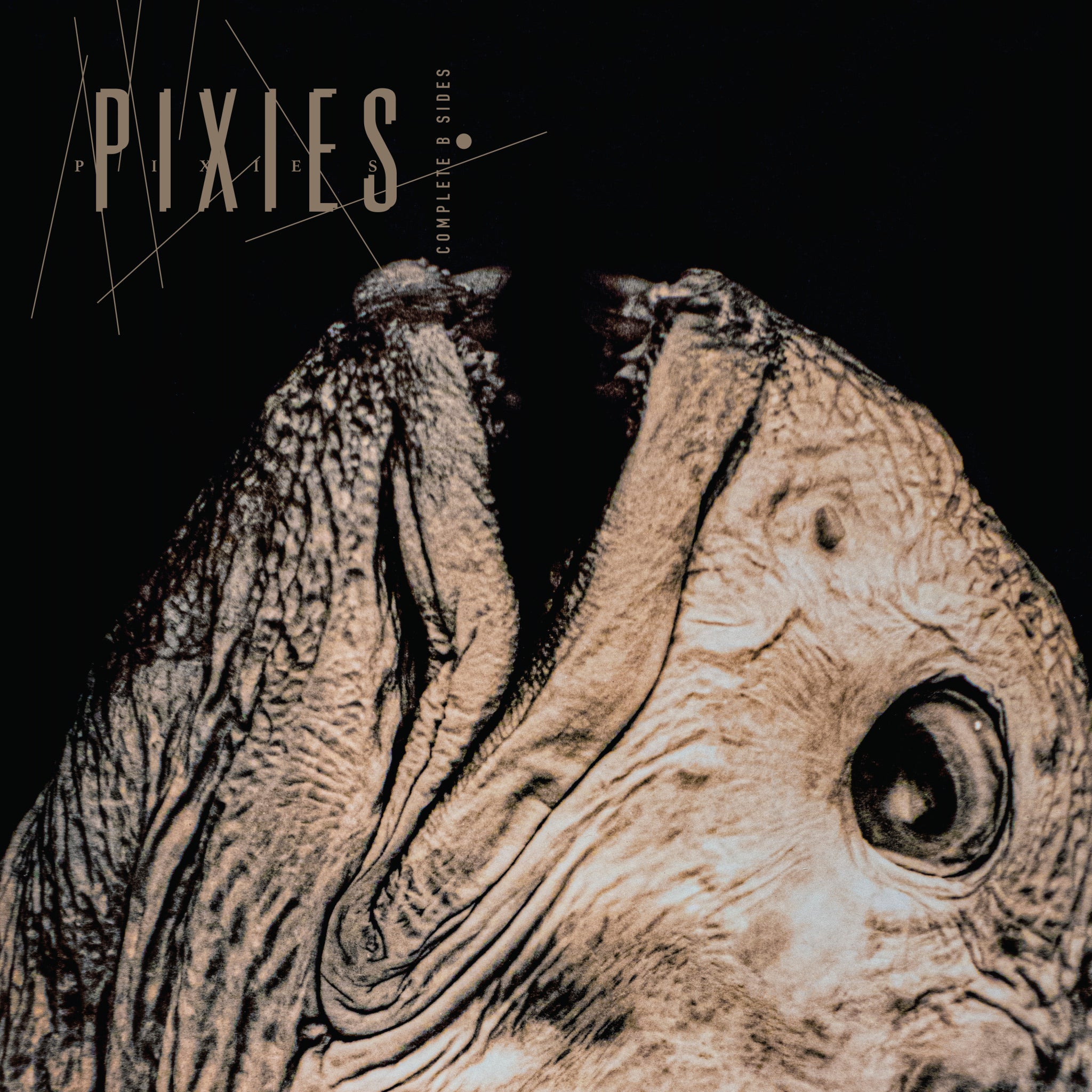 pixies-completebsides